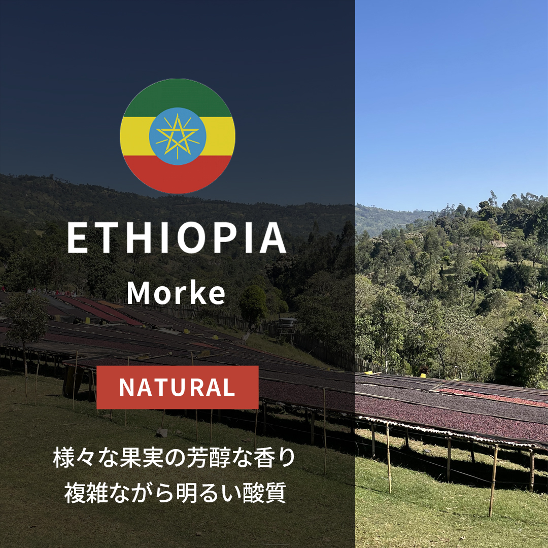 [25%OFF] カット無し、ルワンダ cbj_s117_er Rwanda Gisheke Natural(23/24年クロップ) | ORIGIN COUNTRIES